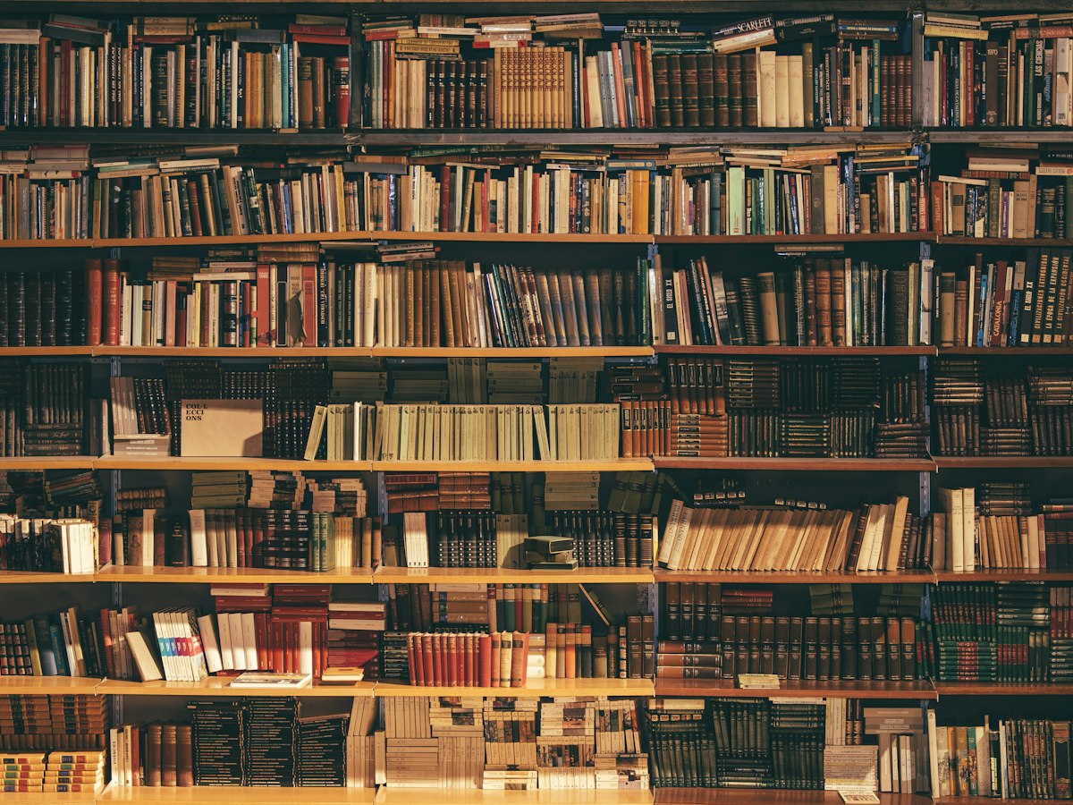 Kitab rəfi «Göygöl» - yaxın plan, material detalları